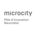 Microsity